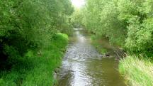  Blick auf die Mank flussabwrts 